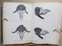 4 American Sportsman Books Game Birds, Deer, Waterfowl & Musk-Ox Bison 1902-04