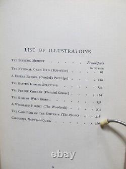 4 American Sportsman Books Game Birds, Deer, Waterfowl & Musk-Ox Bison 1902-04