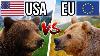 5 American Animals Vs 5 European Animals Who Would Win