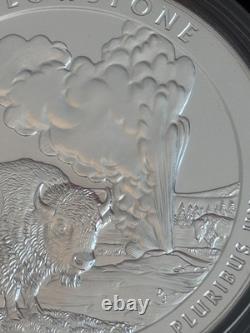 5 oz Silver ATB Bison Buffalo YELLOWSTONE Has Never Been Out of Capsule UNC 2010