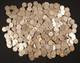 500-Buffalo Nickels D & S Only-Mostly Dateless or Super Weak Dates-Old Acids