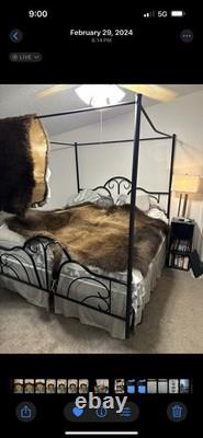 7 Ft Bull Bison Hide