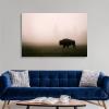 A Bison in Mist Canvas Wall Art Print, Wildlife Home Decor