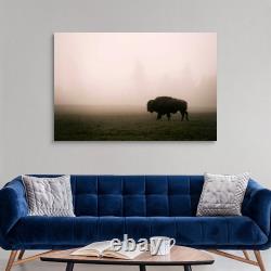 A Bison in Mist Canvas Wall Art Print, Wildlife Home Decor