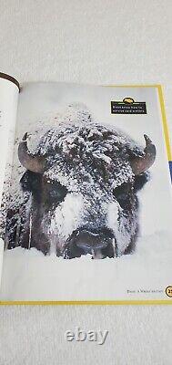 AV2 Bison A Winter Journey Book