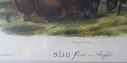 American Bison Audubon 1st Edition 1850 Hand Colored Octavo Litho J. T. Bowen
