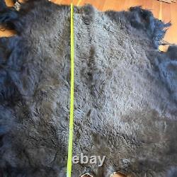 American Bison Buffalo Hide Robe Skin Commercial Tanned 70 wide by 75 + length