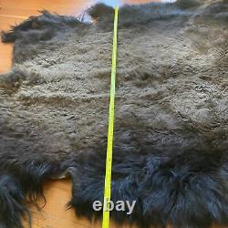 American Bison Buffalo Hide Robe Skin Commercial Tanned 70 wide by 75 + length