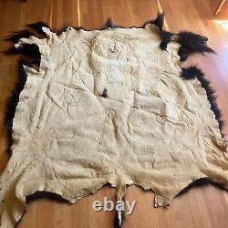 American Bison Buffalo Hide Robe Skin Commercial Tanned 70 wide by 75 + length