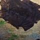 American Bison Buffalo Hide Robe Skin Commercial Tanned 72 wide by 80 + length