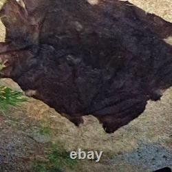 American Bison Buffalo Hide Robe Skin Commercial Tanned 72 wide by 80 + length