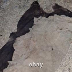 American Bison Buffalo Hide Robe Skin Commercial Tanned 72 wide by 80 + length