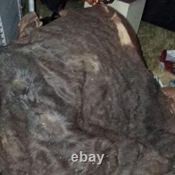 American Bison Buffalo Hide Robe Skin Commercial Tanned 72 wide by 80 + length