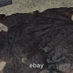 American Bison Buffalo Hide Robe Skin Commercial Tanned 72 wide by 80 + length