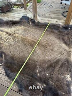 American Bison Buffalo Skin 77+ wide by 91 length