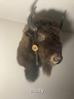 American Bison Head Mount (Male) Beautiful Creature (Decor)