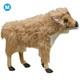 American Bison No. 5163