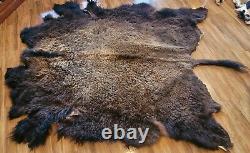 American Bison rug