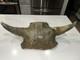 Ancient Bison Skull Cap Authentic Relic from Thousands of Years Ago