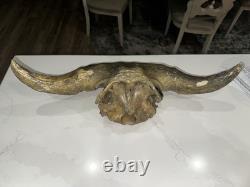 Ancient Bison Skull Cap Authentic Relic from Thousands of Years Ago