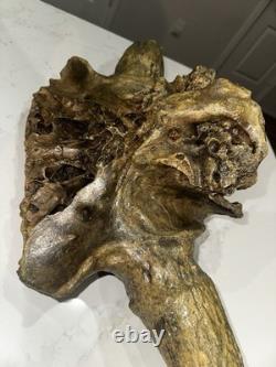 Ancient Bison Skull Cap Authentic Relic from Thousands of Years Ago