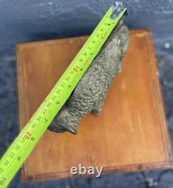 Antique Vintage Cast Iron Buffalo Bison Coin Bank Still Bank