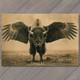 Art Print Buffalo Bison Majestic Winged Soaring in the Sky Buffalo Wings Funny