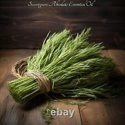 Artisan Sweetgrass Absolute Oil, (Hierochloe Odorata). Black Friday 50% Off