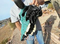 Authentic Buffalo/Bison Skull covered in Natural Blue Turquoise Western Decor