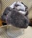 Authentic Buffalo fur hat warm winter collectable real Bison hide