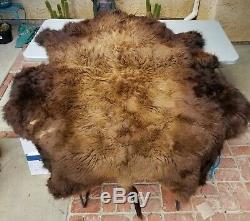 BEAUTIFUL Bison/Buffalo Robe Hide Tanned Leather WINTER FUR SO SOFT LUXURY