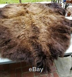 BEAUTIFUL Bison/Buffalo Robe Hide Tanned Leather WINTER FUR SO SOFT LUXURY