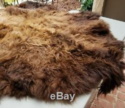 BEAUTIFUL Bison/Buffalo Robe Hide Tanned Leather WINTER FUR SO SOFT LUXURY