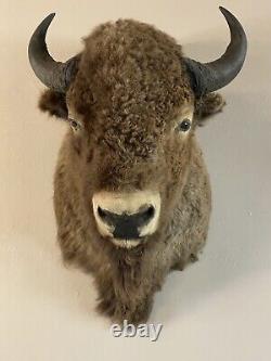 BISON/BUFFALO Shoulder Mount