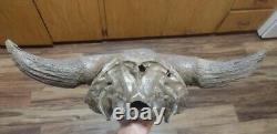 BISON SKULL CAP historic Horn buffalo