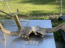 BISON SKULL Cap Approximately 32in wide tip to tip