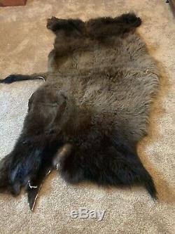 BUFFALO MOUNT, MONSTER BULL, BISON HEAD, ANTLER TAXidermy, With Skull & Hide