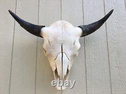 BULL BUFFALO SKULL 26.5 INCH wide HORNS AMERICAN BISON HEAD TOTANKA OLE SHAGGY