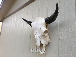 BULL BUFFALO SKULL 26.5 INCH wide HORNS AMERICAN BISON HEAD TOTANKA OLE SHAGGY