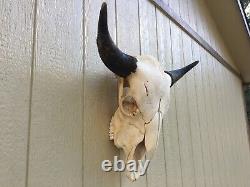 BULL BUFFALO SKULL 26.5 INCH wide HORNS AMERICAN BISON HEAD TOTANKA OLE SHAGGY