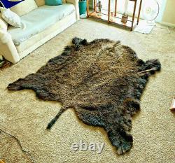 Beautiful Buffalo Bison Hide Robe Blanket Rug Soft And Cozy, Make an offer