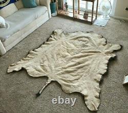 Beautiful Buffalo Bison Hide Robe Blanket Rug Soft And Cozy, Make an offer