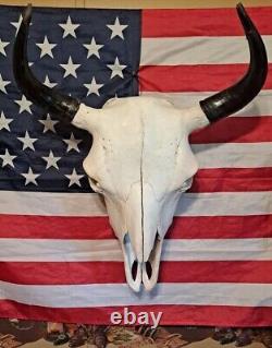 Beautiful Real Bison Head With Horns Free Shipping