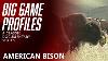 Big Game Profiles American Bison