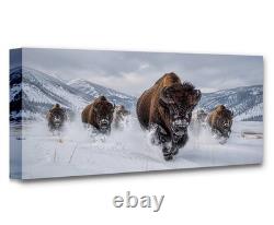 Bills Running Bison Herd Panoramic Wall Art Winter Wildlife Western Decor Bills Running Bison Herd Panoramic Wall Art Winter Wildlife Western Decor