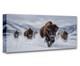 Bills Running Bison Herd Panoramic Wall Art Winter Wildlife Western Decor