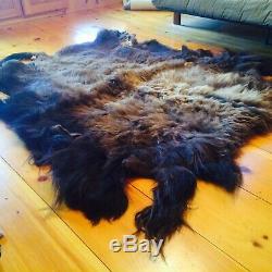 Bison/Buffalo Hide, Robe, Rug, Winter Coat, Amazing Coloration, with full tail