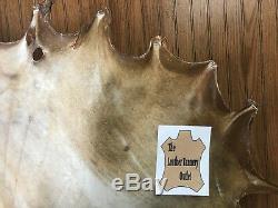 Bison Buffalo Rawhide North American Bison Drums, Crafts, Snowshoes