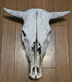 Bison Buffalo Skull Horns Weathered Vintage 17 Width Hangs on Wall