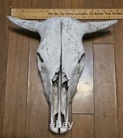 Bison Buffalo Skull Horns Weathered Vintage 17 Width Hangs on Wall
